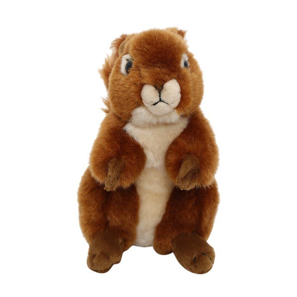 squirrel cuddly toy