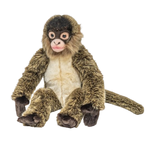 Floppy Spider Monkey Floppy Spider Monkey