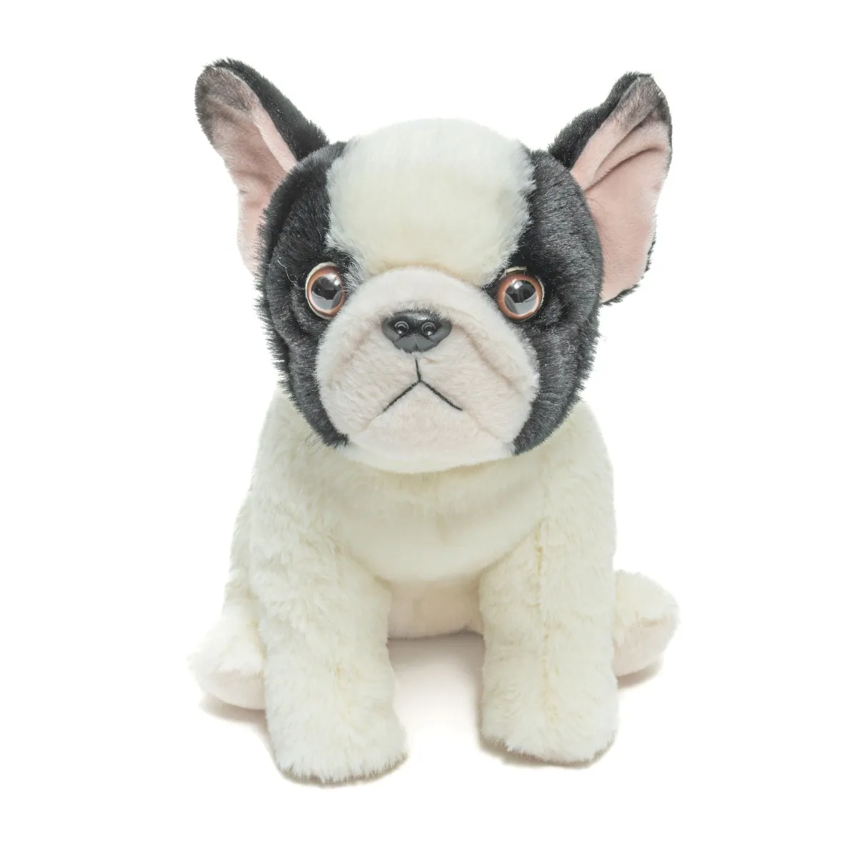 Floppy French Bulldog Floppy French Bulldog
