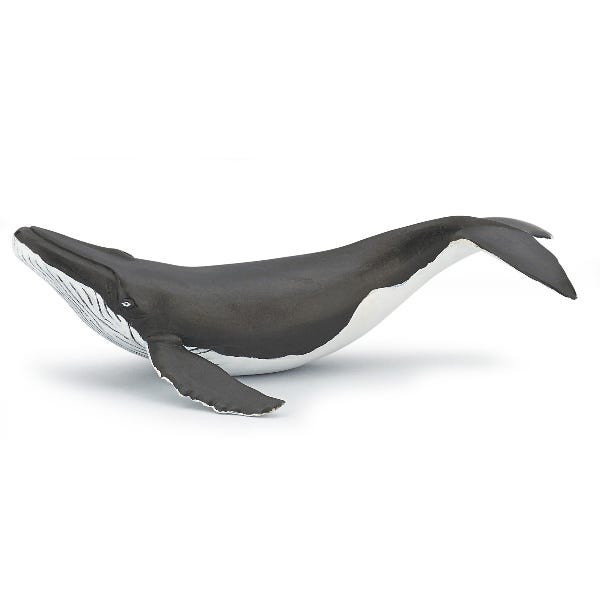 Papo Whale calf