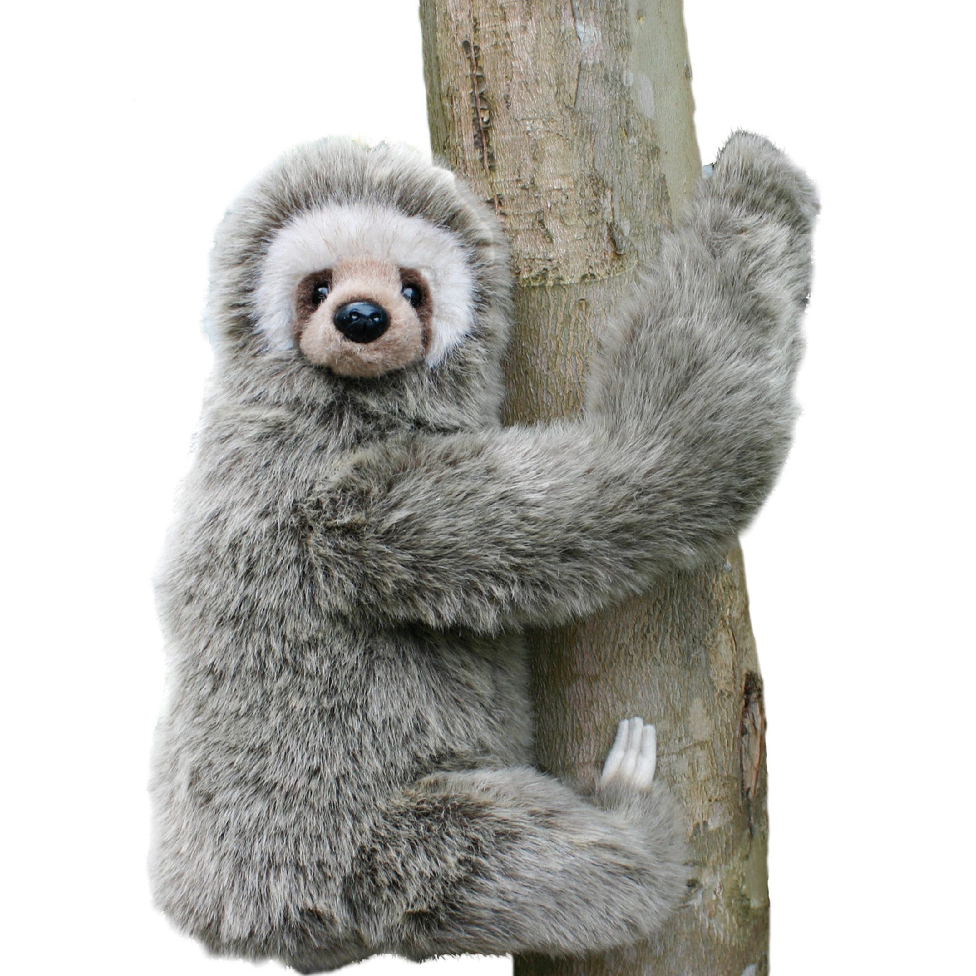 Hansa sloth clearance
