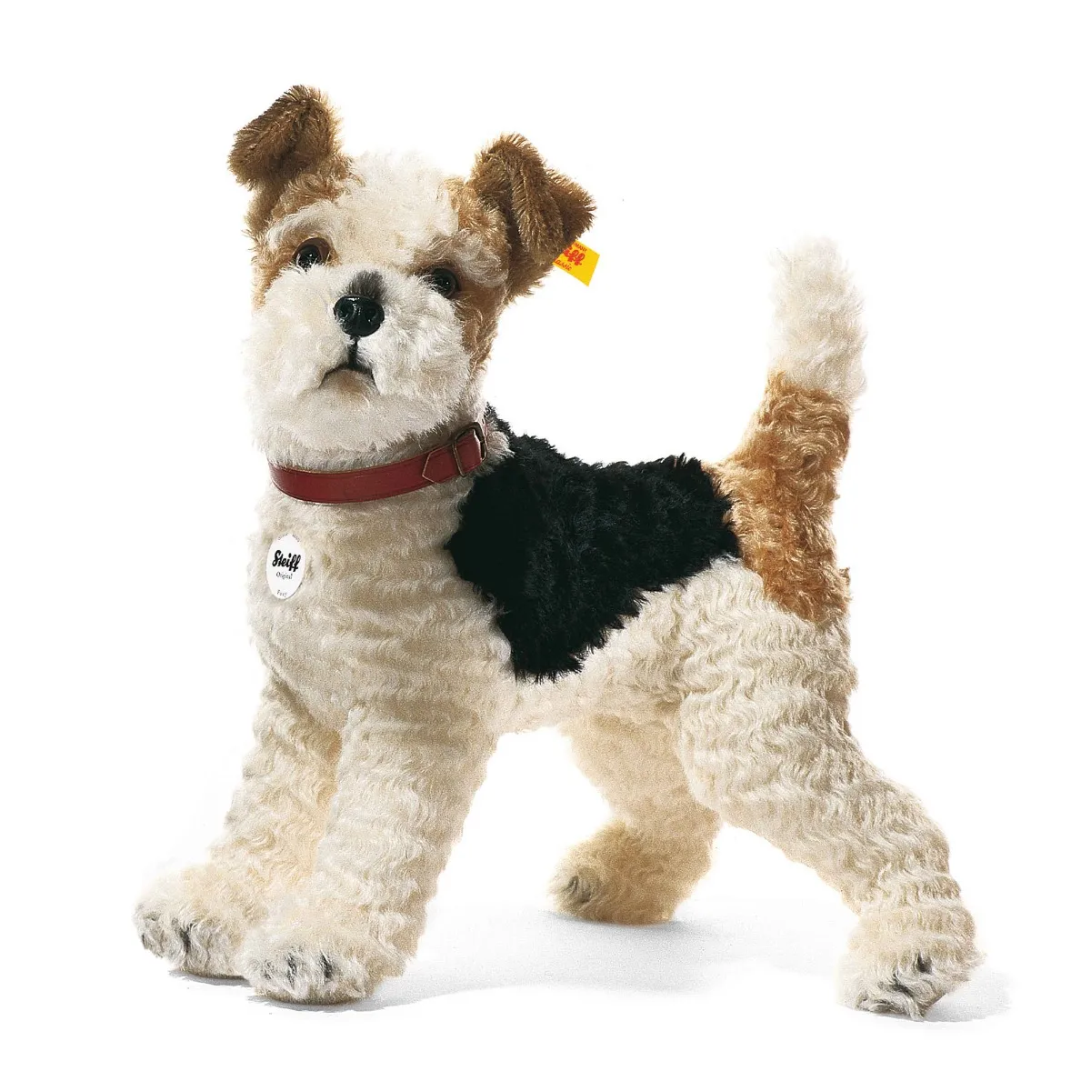 Image of Foxy Fox Terrier
