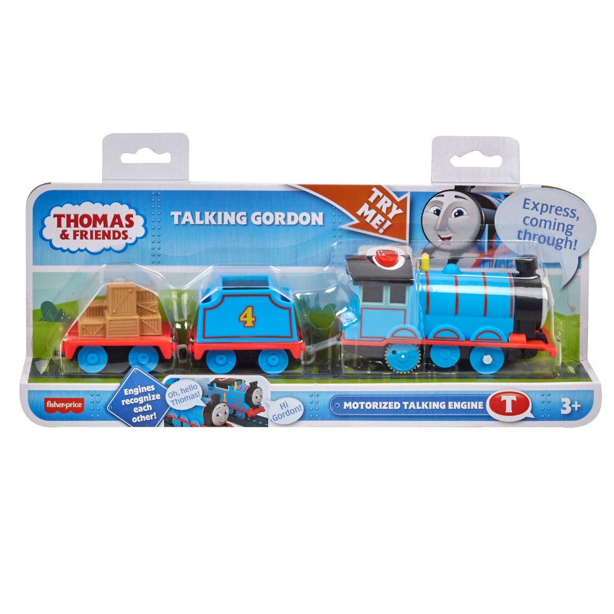 Talking gordon train best sale