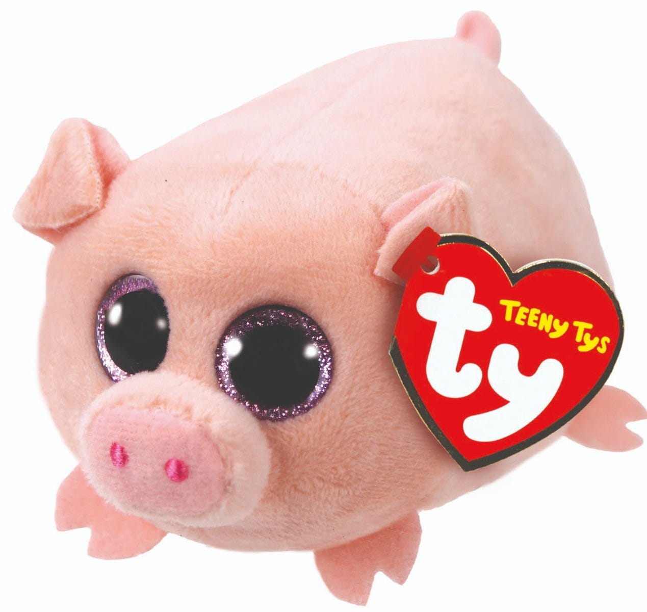 TY Curly Pig Teeny