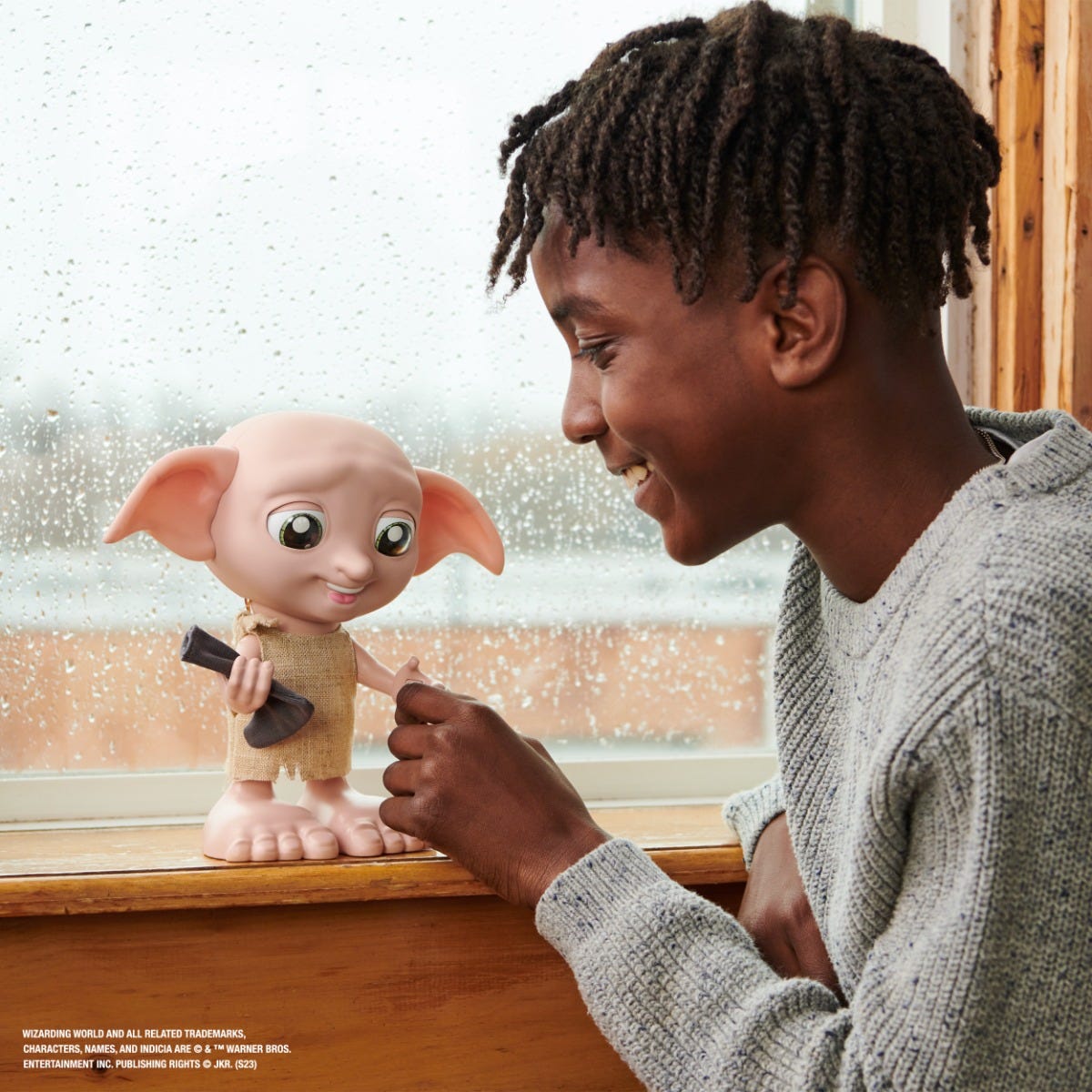 Wizarding World Interactive Dobby