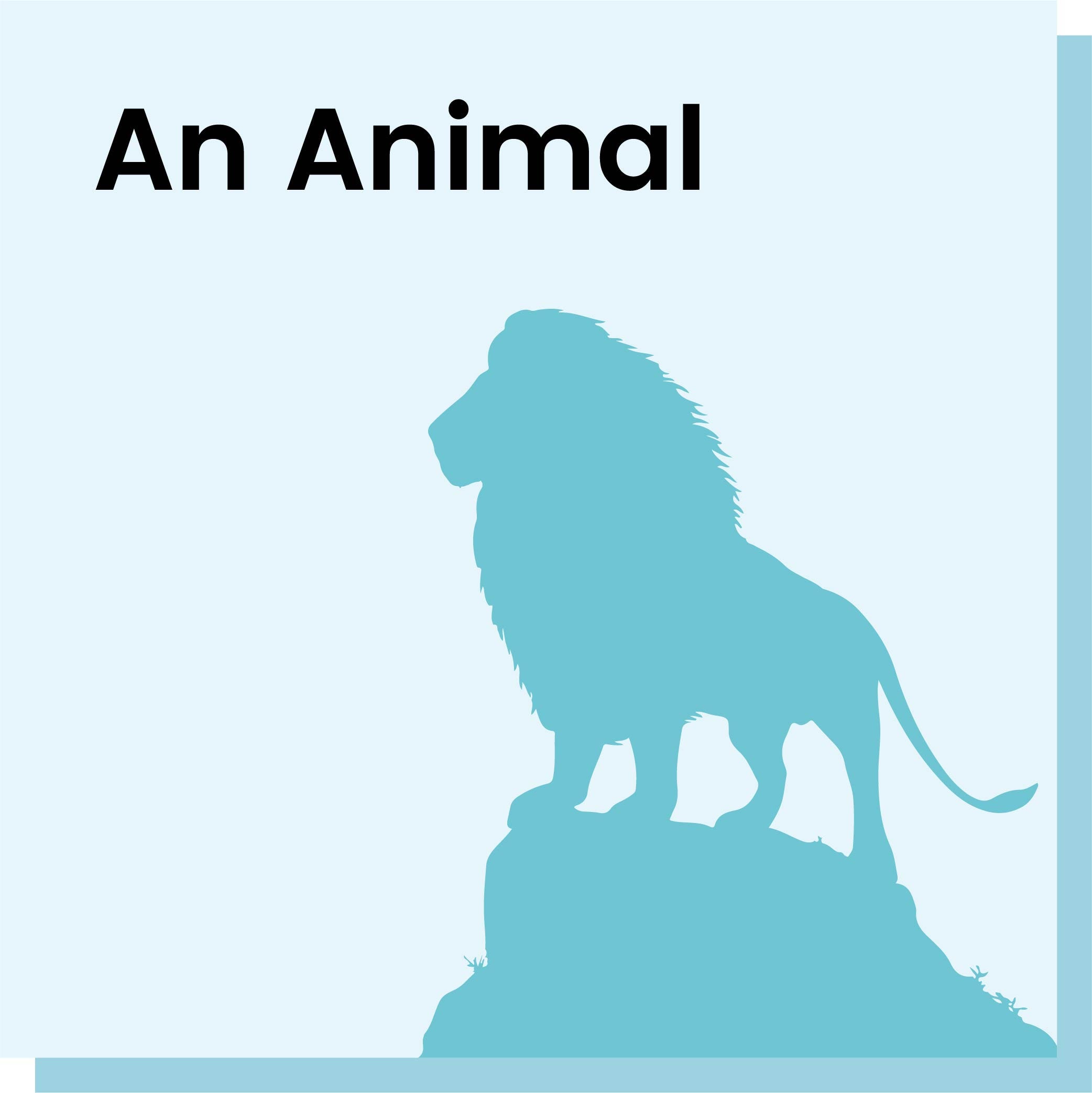 An Animal