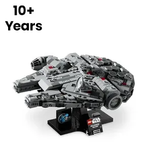 10+ Years